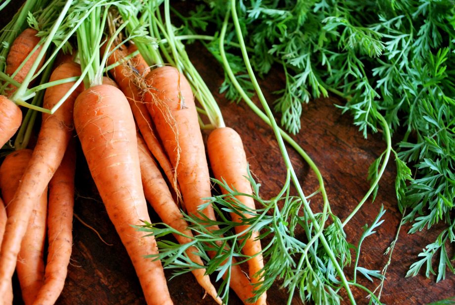 Le basi della coltivazione delle carote in Italia