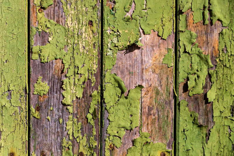 5 modi su come rimuovere facilmente la muffa verde dal ponte di legno