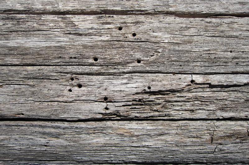 7 semplici passaggi fai-da-te su come riparare il legno naturale danneggiato dall'acqua