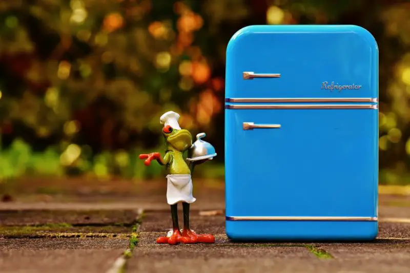 Come aggiungere il freon al frigorifero? 6 semplici modi!