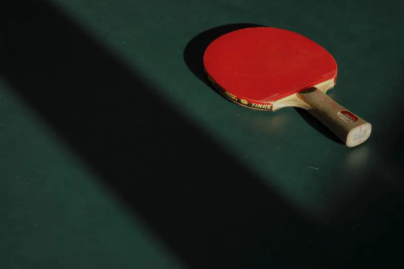 Come riparare un tavolo da ping pong danneggiato dall'acqua: 3 passaggi utili