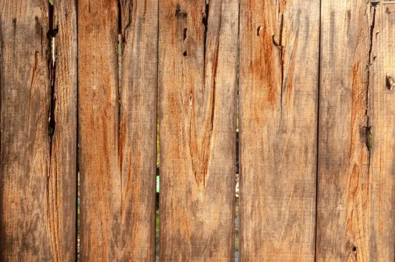 Quando sostituire la guarnizione della porta della stufa a legna? 3 cose incredibili da usare!