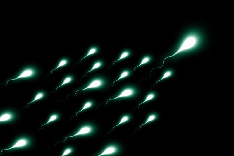 Come funziona la donazione di sperma? Fatti fantastici da leggere!