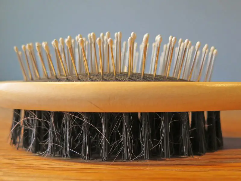 Come pulire la spazzola per asciugacapelli Revlon? 4 Semplici Passi!