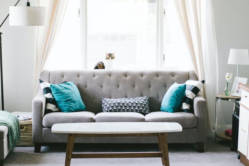 Come rimuovere la muffa dai cuscini del divano: 5 semplici passaggi