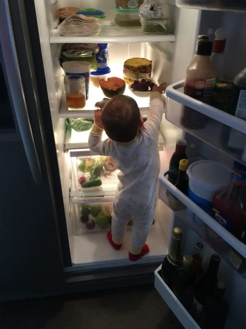 Come ripristinare il frigorifero Kitchenaid? Una guida completa!