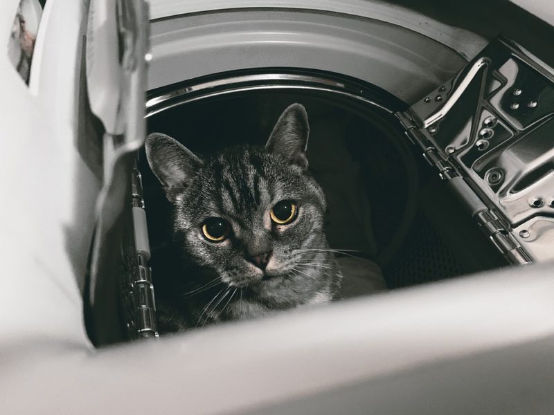Cosa significa collegamento lavatrice asciugatrice? 4 semplici passaggi per installarlo!