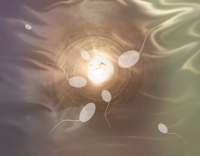 Qual è il processo di donazione di sperma? 6 cose sorprendenti da considerare!