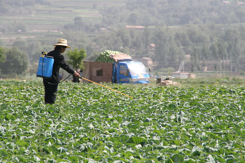 Quali sono i fattori che influenzano le attività dei pesticidi? 6 tipi