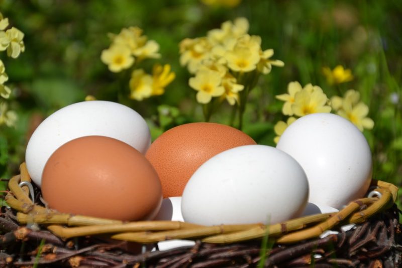 Quante uova vengono prelevate durante la donazione? 3 fatti sorprendenti da sapere!