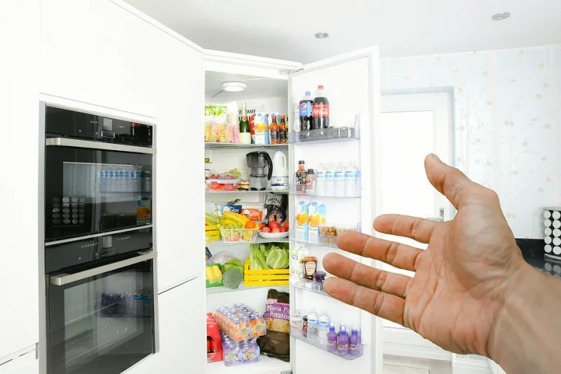 Come funziona un frigorifero per camper? Leggi I fatti sorprendenti!